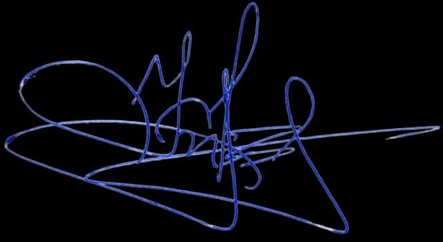 Подпись Дениса Борового